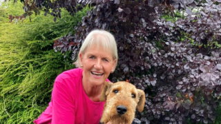 Wales’ chief veterinary officer to step down