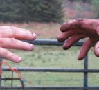 Keep the spotlight on mental health in rural areas - FUW
