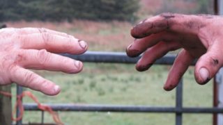 Keep the spotlight on mental health in rural areas – FUW
