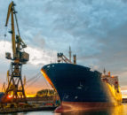 'Substantial quantities' of sheepmeat being imported illegally - NSA