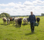 Former BVA president appointed to Red Tractor board