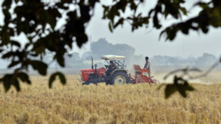 State of Agriculture report ignores nitty gritty of farming