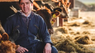 ABP invests £1.5m in farm sustainability programme