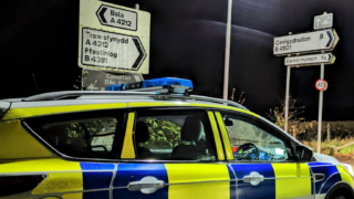 Appeal for information on 18 stolen cattle in Wrexham