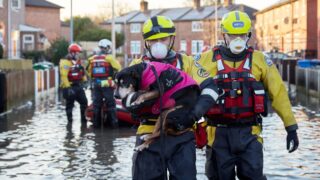 RSPCA flood response team put on standby as water rises