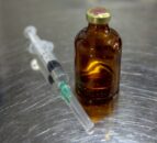 Consultation on Veterinary Medicines Regulations launched