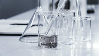 US approves lab-grown meat for human consumption