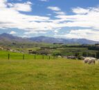 New government climate package puts 'nature at the forefront'