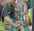 Rising costs pose 'serious threat' to horticulture sector - NFU
