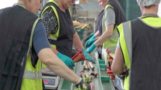 Rising costs pose ‘serious threat’ to horticulture sector – NFU