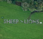 England vs. Wales: Sheep show support for boys in red