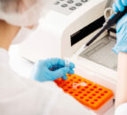 'Whole toolbox of measures' needed for bTB eradication
