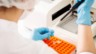 ‘Whole toolbox of measures’ needed for bTB eradication
