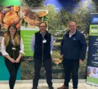 Project Butterfly gets £4m in funding for sustainable factory projects