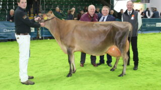 Results: ‘Very special cow’ wins 2022 RUAS Winter Fair