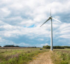 Poor grid connections restricting contributions to renewable energy targets