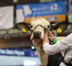 UK Dairy Day 2023: Timetables, parking info and maps