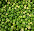 Hail the humble brussels sprout