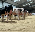 Black and White sale brings top price of 14,000gns