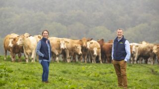 Dawn Meats invests £90m to reach net-zero target