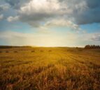 Farm Tenancy Forum established in response to Rock Review