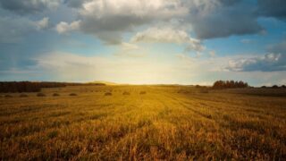 Farm Tenancy Forum established in response to Rock Review