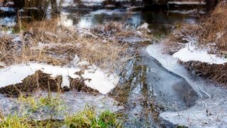 UKHSA issues cold weather alert following Status Yellow warnings