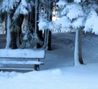 Opinion: What is your favourite Christmas poem?