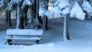 Opinion: What is your favourite Christmas poem?