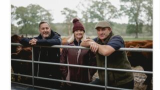 Cattle used to restore ‘secret forest’ after 100 years
