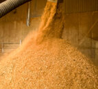 Farmers advised to prioritise summer feed contracts