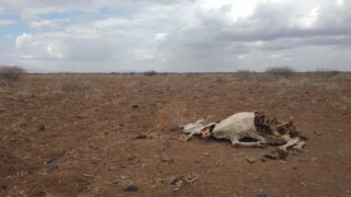 How climate change has left millions without food in northern Kenya
