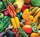 Food Foundation launches childhood nutrition library