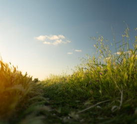 NFU welcomes report on how climate change impacts farming