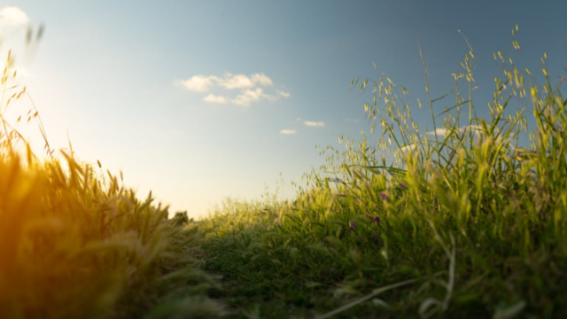 NFU welcomes report on how climate change impacts farming