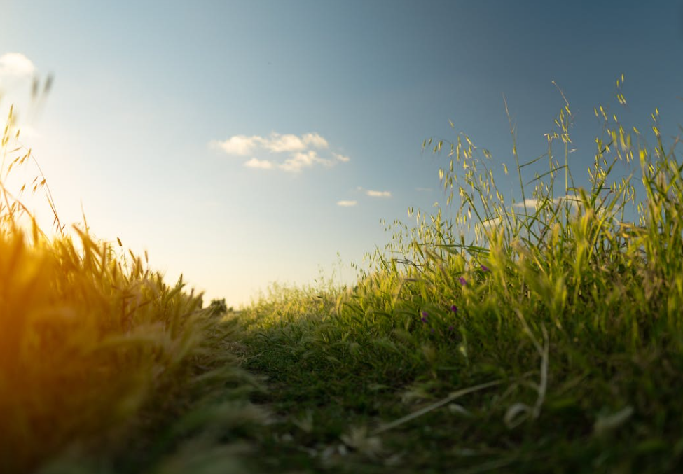 NFU welcomes report on how climate change impacts farming