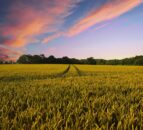 Cropin secures funding from investors including Google