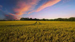 Cropin secures funding from investors including Google