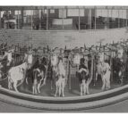 DeLaval celebrates 100 years in Britain