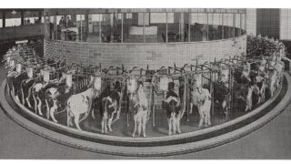 DeLaval celebrates 100 years in Britain