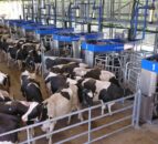 DeLaval to grow production capacity of automatic milking systems