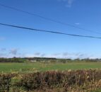 Parliament brings new hedgerow regulations into law