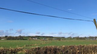 Hedgerows should be included in 10% SFS woodland requirement – GWCT