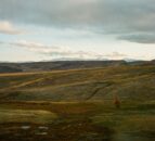 ‘Biocredits’ – global demand growing to fund biodiversity action