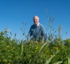 TGA joins turf grower in call for plastic-free turf