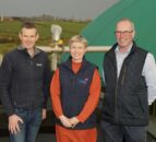 ABP Linden Foods in new green energy agreement with NI businesses