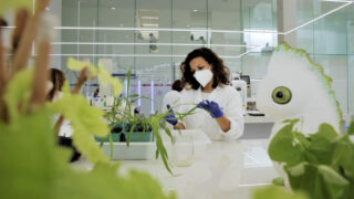 Bayer links up with Kimitec for biological crop protection