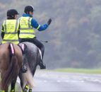 Driver sentenced after pleading guilty to horse collision