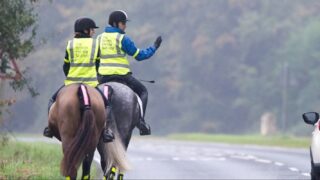 Driver sentenced after pleading guilty to horse collision
