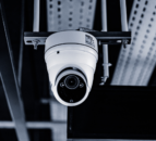 Producers shouldn't pay costs of CCTV in slaughterhouses - FUW